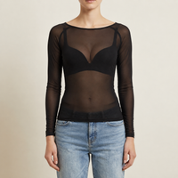 Calpe Sheer Mesh Long-Sleeve Top