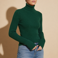 Skyros Ribbed Turtleneck Sweater in Green